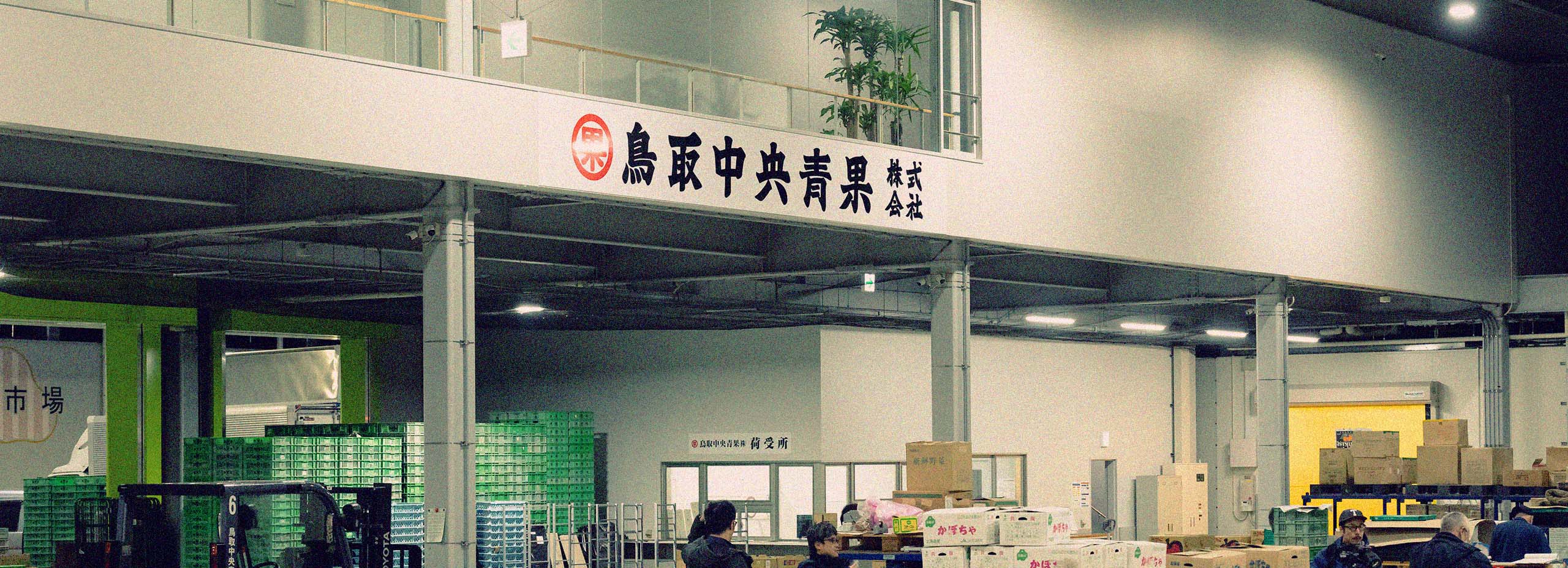 鳥取青果市場について